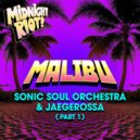 Sonic Soul Orchestra & Jaegerossa - Malibu (Latin Intrumental Mix)