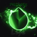 Fazynth & FacuNk - Birth ()