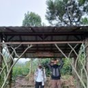 Aldi Foni - Bagaimana Aku Harus Mengatakannya ()