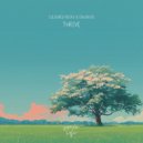 Coloured Rocks & Erwin Do & soave lofi - Thrive ()