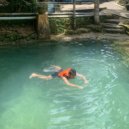 Fazu - Never Give Up ()