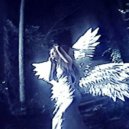 tenomori - tiller ()