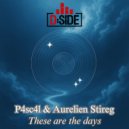 P4sc4l & Aurelien Stireg - These Are The Days (Dex Wilson Remix)