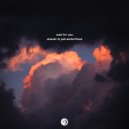 shandr & Joel Winterflood - Wait For You ()