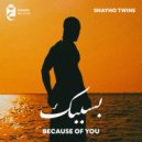 Shayho Twins - Because Of You (Extended Version)