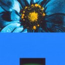 Leaches - Pangaea ()