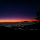 Aldi Foni - Kupang Kota Karang ()