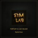 Fortuny & Can Valkar - Mysterious