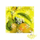 The Dream Merchant - VHS Dream Wave ()