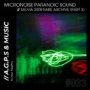 Micronoise Paranoic Sound - Salvia (2009 Rare Archive Part 3)