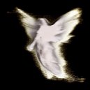 TRUELIGHT - фотографии ()