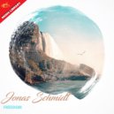 Jonas Schmidt - Fall Again ()