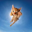 44 - бидоны (Original Mix)