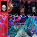 Acrobotik & Waxi Priest - MOOG MOUNTAINS