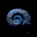 Bulah - Ordovician (Original Mix)