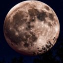 Владимир Терехов - Entrance in trance #208 Тёмная сторона ЛУНЫ 2