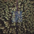 Bon Echo - Hold On ()