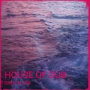 Greg Allen - House of Dub ()