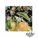 The Dream Merchant - Elixer ()