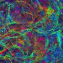 Saraswati Bhandari - Thames Serenade ()