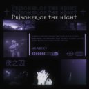 alxmxv - Prisoner of the night ()