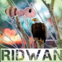 Ridwan - Harus Bahagia