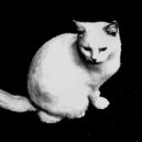 Старые взгляды на мир - Утопия ()