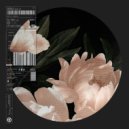 Danny Sbert - Serious Grooves ()