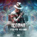 Iceman - Madness