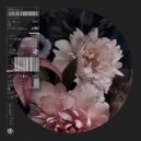 Del Fonda - The Matter ()