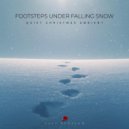 Last Blossom - Footsteps Under Falling Snow (Quiet Christmas Ambient)