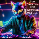 Tom Carmine - DnB Liquid Vol.11 Live at Gastro Pub