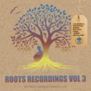 Emmi Chen Firebird & Sean McNulty & Love Athletics - Queen (feat. Sean McNulty) (Love Athletics Acid Mix)