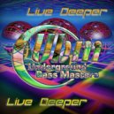 Underground Bass Masters - Reflection of Life