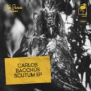 Carlos Bacchus - Antares (Original Mix)