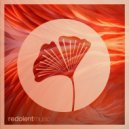 Edgar Aguirre - Sopla el Viento (Original Mix)