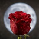 Malurchick - Rose Mono ()