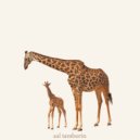 Aal tamborin - Musim Kemarau