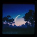 Blagykng & LAYOT - DOWN HEAVEN ()