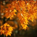 SieReNaDa & AleX DZeN - Золото октября (Original Mix)