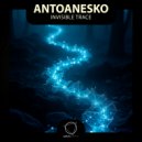 antoanesko - Invisible Trace ()