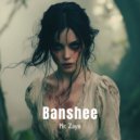 Mr. Zayn - Banshee