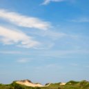 Tish' - Beyond the Pull of Things