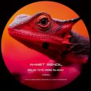 Ahmet Sendil - Solid Tite (2026 Re-Edit)