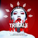 Postfunk - Minimal Tribe ()