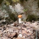 Duelling Ants - flue