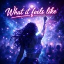 Stephan Biczo - What it feels like ()