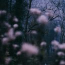 Uchida Sound Labo - Asl 04