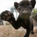 Wasting Time By Telling Why - Alles Geht Kaputt ()