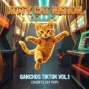 Kitty Cat Nation - Gatito Rayito (Cat Pop Song)
